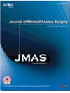Journal of Minimal Access Surgery